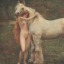 ride-the-cowboy-not-the-horse