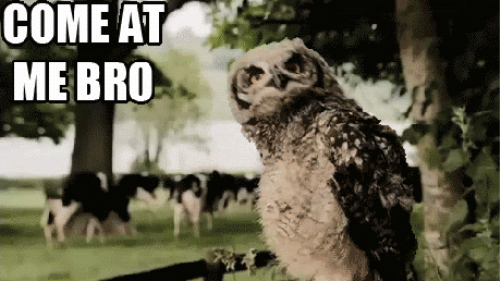 failsnet:  Tumblr Fails.net - Come at me bro!