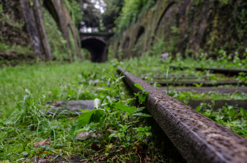 cdkphotography:  Exploration w/ @alexpenfornis & @alenpalander La Petite Ceinture - Parc Montsouris - PARIS ( Photography by C.D.K ) 