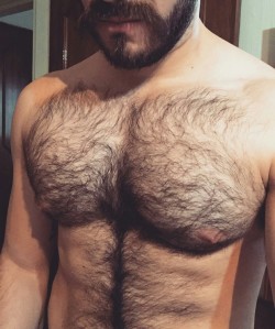 Hairy guys, please !