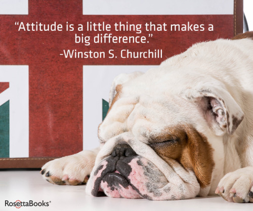 Wisewords Sir Churchill. 