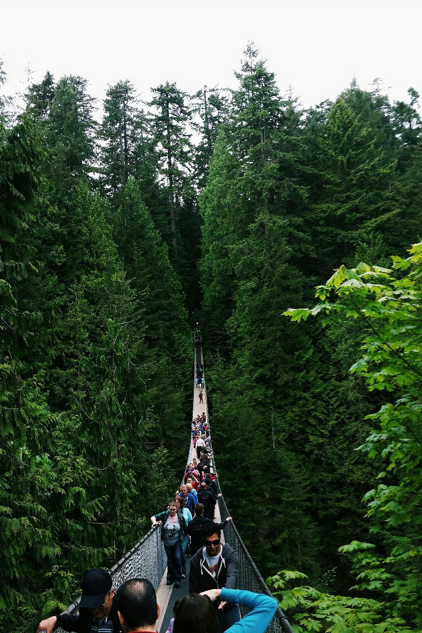 open-minded-teen:  Capilano Suspension Bridge Park, North Vancouver, British Columbia,