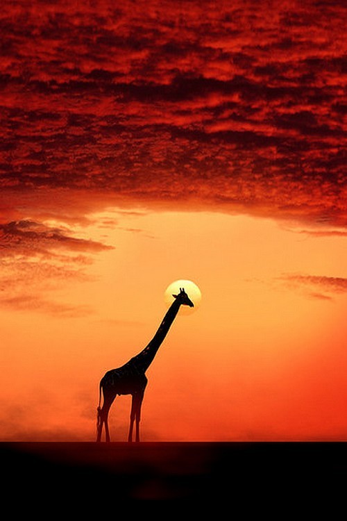 wonderous-world:  The Saint by Caras Ionut