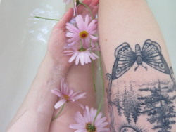 prettyf0x:  Bathing with flowers is oddly