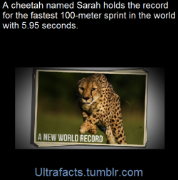 ultrafacts:    To put that in perspective,