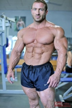 jacked-bodybuilders:  Jaroslav Horvath 