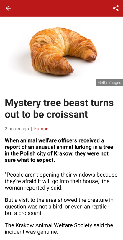 lmtyl:miss-edith-cushing:miss-edith-cushing:psilopterus:This is it, the best news story (from BBC news):Ok, so here is the croissant that started all this mess:When asked about what kind of animal might it be, the woman said: “It’s this, oh, what