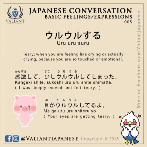 valiantschool: Japanese Vocabulary and Phrases: 001 to 005More Japanese flashcards on www.instagram.