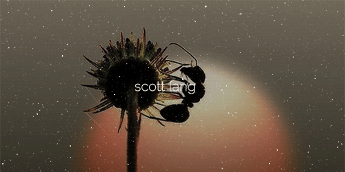 rbertdowneys: aesthetic series: Marvel (part 2/…) 1