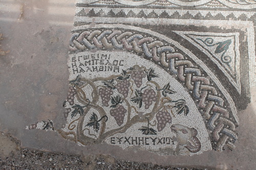 echiromani:Ancient Christian mosaics at the Church of Ayia Kyriaki Chrysopolitissa in Paphos, Cyprus