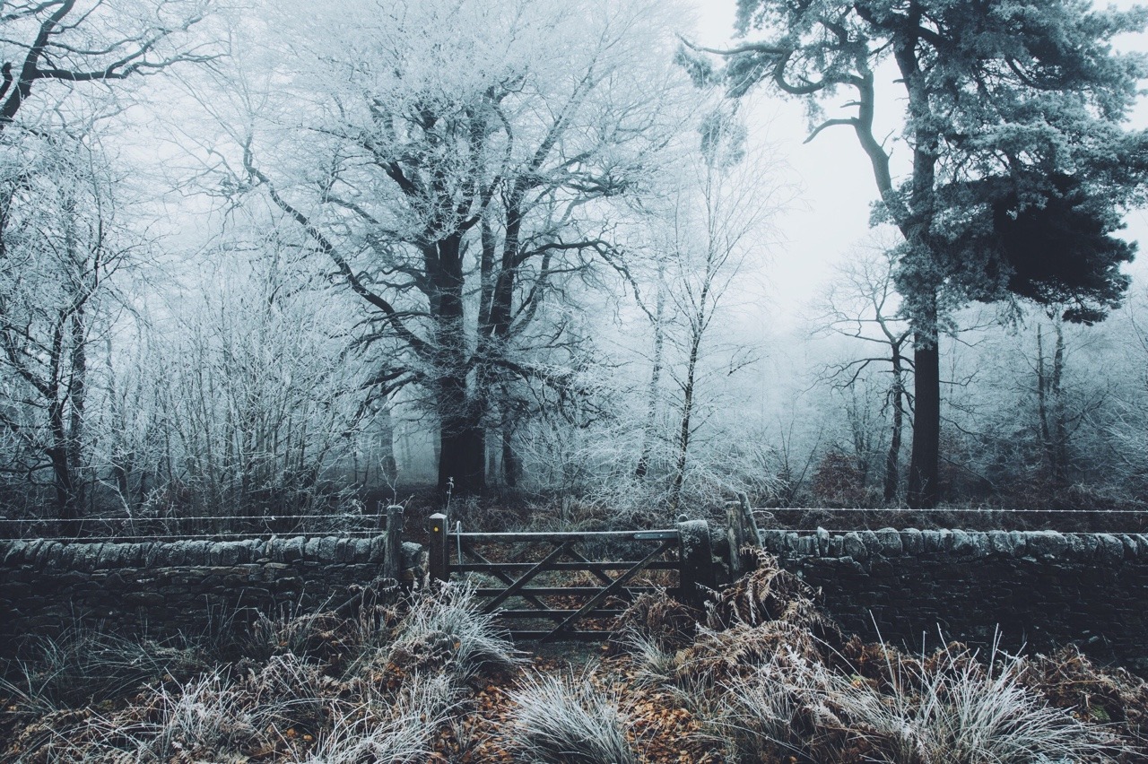 dpcphotography: Winter Blues