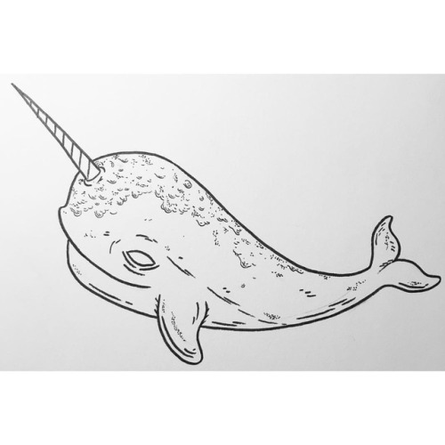 12 #art #illustration #drawing #inktober #narwhal https://www.instagram.com/p/Bo17T0RARxQ/?utm_sourc