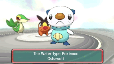 thebuttkingpost:  mystical-draw:  say what starter you pick 1 for each region   SquirtleCintaquilTorchickChimcharSnivyFinnekin   CharmanderChikorita MudkipChimcharSnivyChespin