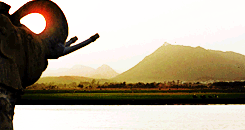 onlyechoesrespond:lotr meme: locations  → rhun, the east (1/5) insp.