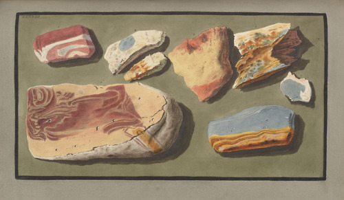 Happy Earth Day!Illustrations of volcanic rock from Campi Phlegraei by Sir William Hamilton, IU