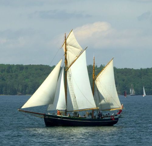 pull in your sails and move on