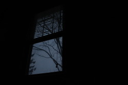 cwallis365:  january 27 i’ve been taking dark photos. this is not a metaphor. 