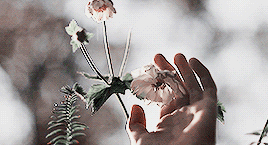With This Pen I Take You Matthew And Marilla Cuthbert To Be My Family Forever. To Call You Mine And To