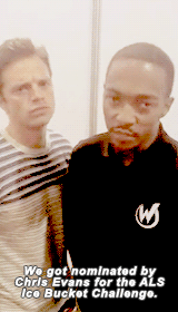 :  Sebastian Stan and Anthony Mackie do the ALS Ice Bucket Challenge (x) 