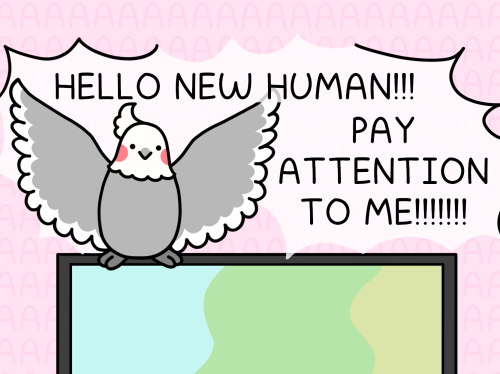 WHERE ARE YOU NEW HUMAN?!?!?!?!