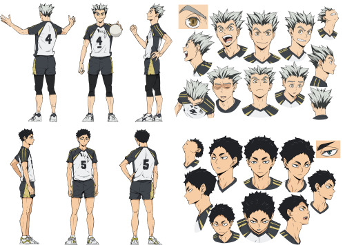 ♥ Nanukiss ♥ — pkjd: The key visual for the “Haikyuu!! Land vs.