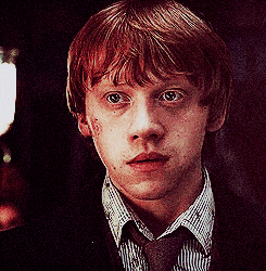 demetera: Weasley is Our King 