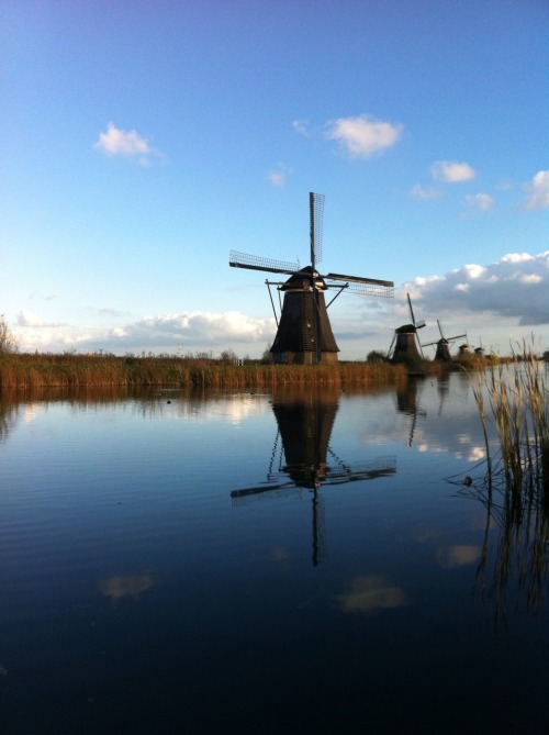 Kinderdijk  Mills Holland Netherlands Dutch