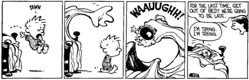 It’s a fight… every morning! Calvin and Hobbes by Bill Watterson