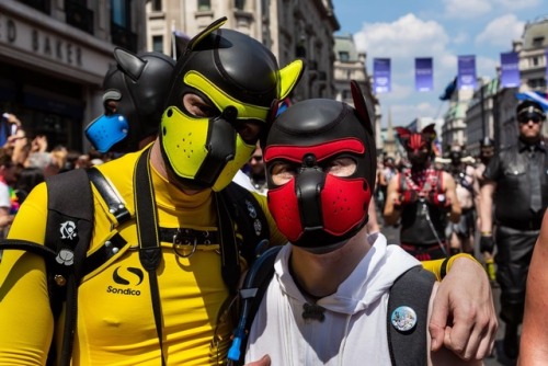 puppixel:Some pics from this year’s London Pride