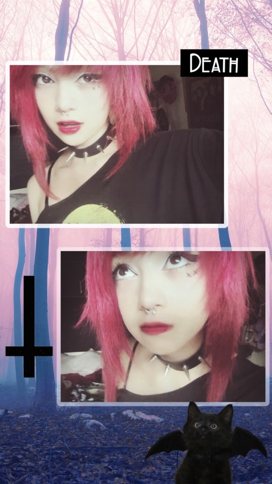Tumblr media