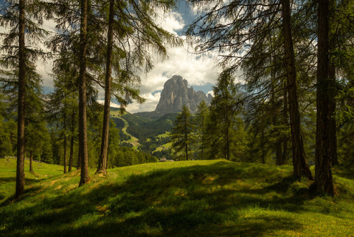 silvaris:Dolomites - Summer in South Tyrol by Toni Butzmann