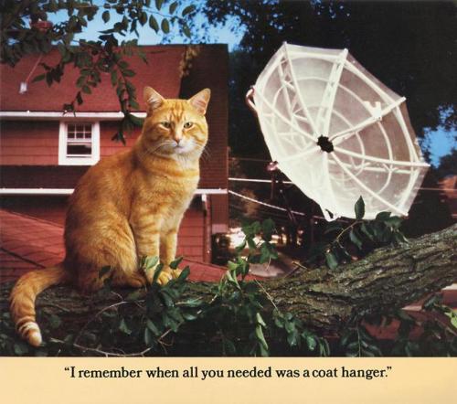 theunimpairedcondition:c86:Morris: A Cat For Our Times, 1986The more things change….