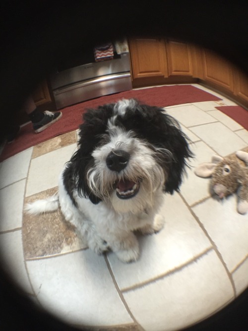 Test photos