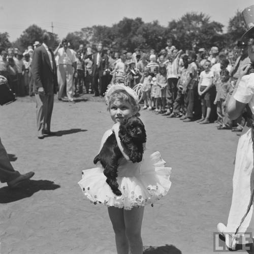 You win the puppy prize(Joseph Scherschel. 1952)