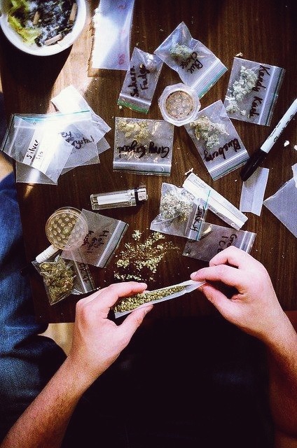 XXX cannabis lovers gather here! photo