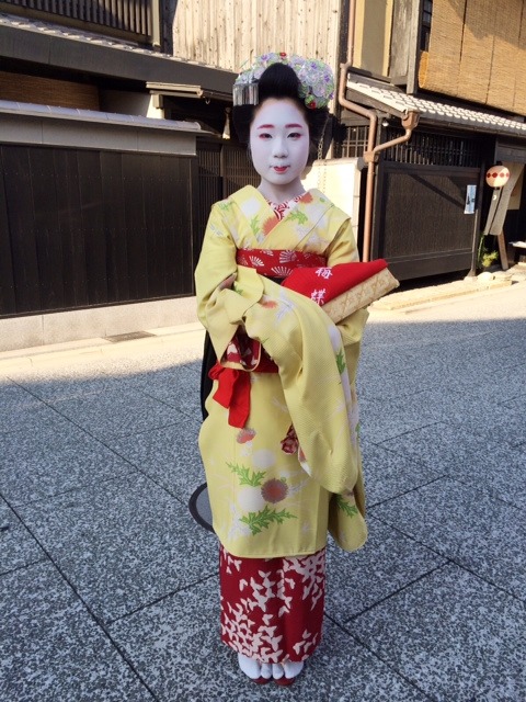 geisha-kai:  Freshly debuted maiko Umecho for July 2014 (SOURCE)