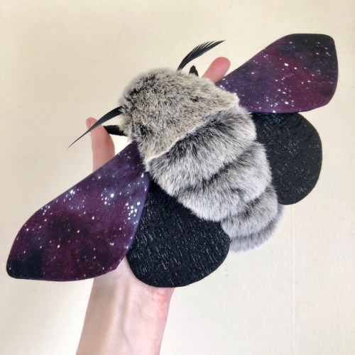 chewybitart: devlynblaise: sosuperawesome: Moths / Bees / BatsMolly Burgess on EtsySee our #Etsy or 