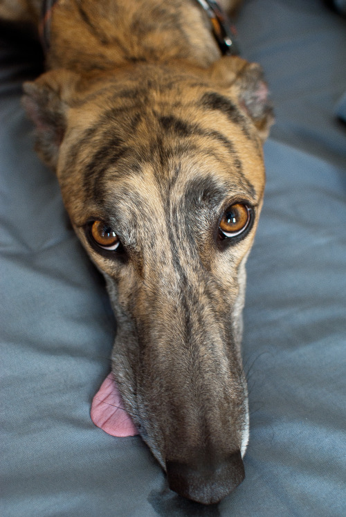 mgkesi:feelingreyt: Beautiful eyes! oh my god.