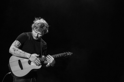 mariesheerio:  Ed Sheeran in Brisbane Part 2. x