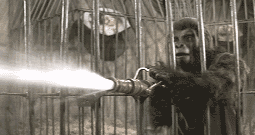Planet of the Apes (1968).