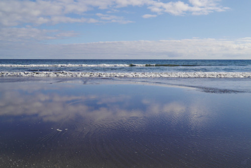 20190626 - Paekakariki Beach, New Zealand