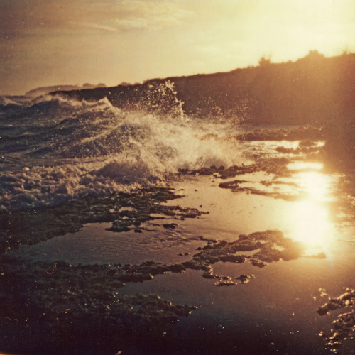 officialneilkrug:
“Mahaulepu Sunset
Photograph by Neil Krug
http://instagram.com/neilkrug
”