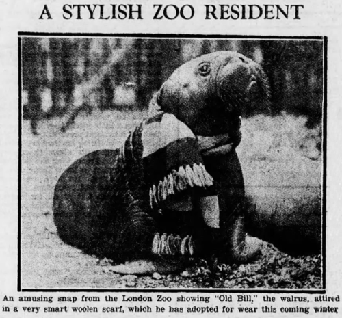 yesterdaysprint:The Cincinnati Enquirer, Ohio, December 6, 1931