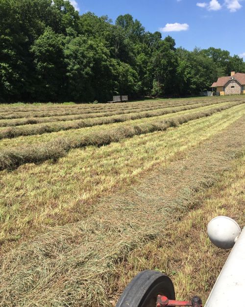 Nice afternoon to be raking hay #farmlife #hay #ford8n (at Germantown, Ohio) https://www.instagram.c