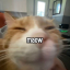 filthyascharged