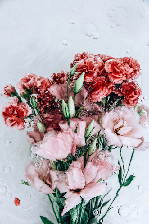 latenightpersonality:  The Ethereal Beauty of Drowned Flowers by  Lisa Sorgini