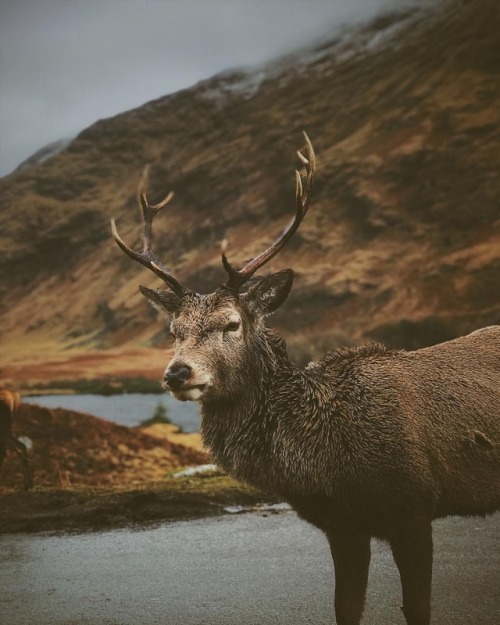 No feeding the Buck!!  ••••••••••••&bull