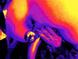 An Assload Of Anal Gifs