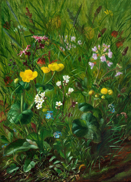 Alfrida Baadsgaard – Forest Floor with Summer Flowers (1880)