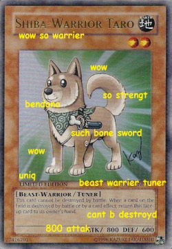 suchdoge:  wow such card game